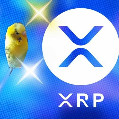 暗号通貨XRPを応援‼️