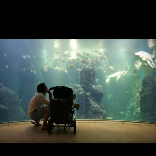 BartHZwolle's profile picture. 