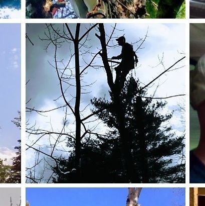 SteveGo92742868's profile picture. male