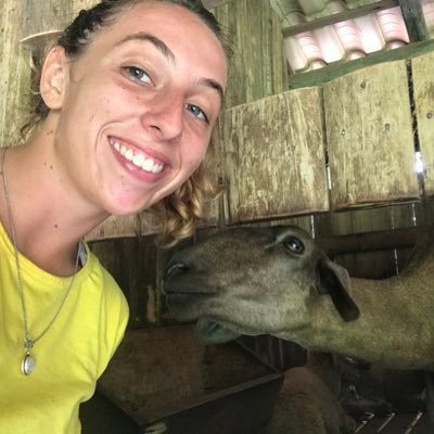 perfil com 0 conteúdo