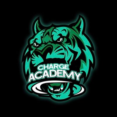 CHARGEACADEMY Profile Picture