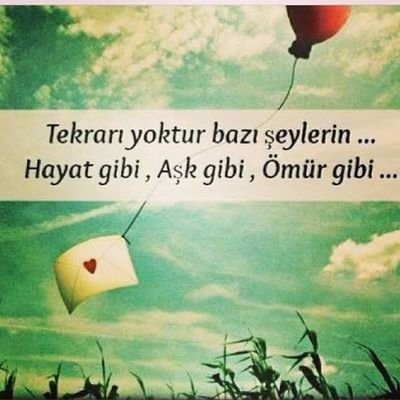 metinoter1997's profile picture. güvenlik...metinoter8998. İnstagram