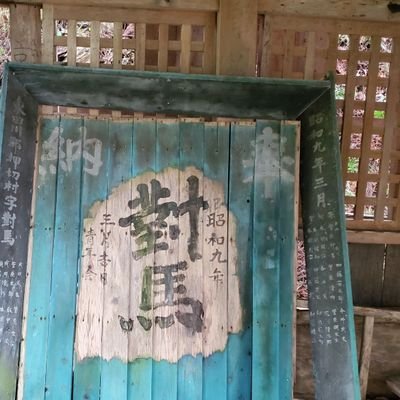 krt12q's profile picture. 