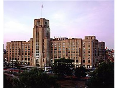 ContEdProgInc's profile picture. The mission of the Continuing Education Program Inc. is to educate mental health practitioners and other health professionals beyond their formal training.