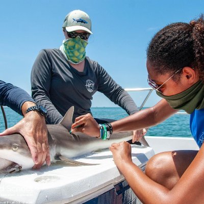 I’m interested in the intersection of social and marine science and excited to see where that leads me. (she/her) 🇹🇹