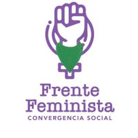 Frente Feminista CS(@FeministasCS) 's Twitter Profile Photo