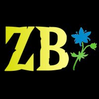 Zelda Beyond (@zeldabeyond) 's Twitter Profile Photo Zelda Beyond (@zeldabeyond) 's Twitter Profile Photo