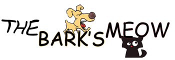 thebarksmeow's profile picture. http://t.co/4TxuhhCsTv The Bark's Meow has Discount Pet Supplies for all animals. We have products for Dogs, Cats, Fish, Birds, and more. Pets love us!