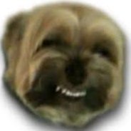 RsShor's profile picture. 