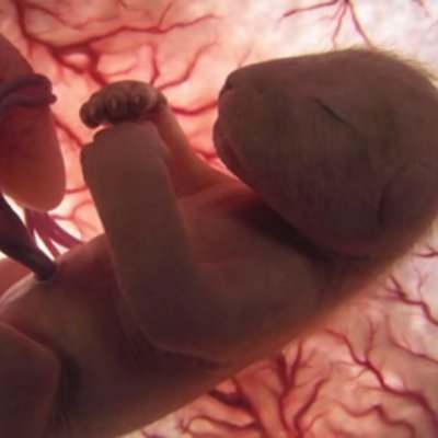 Fdo3roDCastilla's profile picture. Digo lo que pienso.