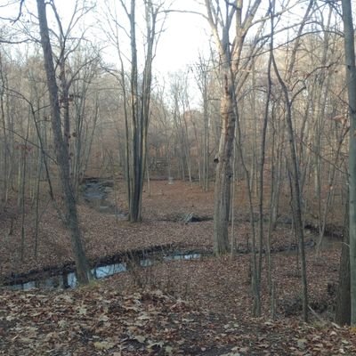 Pauliewog6886's profile picture. Disc golf, and Michigan Craft Beer!