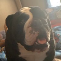 Bentley F (@bentleyf18) 's Twitter Profile