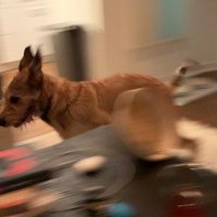 tj fischer (@travisjfischer) 's Twitter Profile