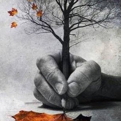 calebVa05978501's profile picture. Artista Plástico...Lldm...El Razonamiento es la base del buen diálogo...hablar de Amor, Es Hablar de Dios...