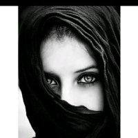 AmbreenPTI (@ambreenpt) 's Twitter Profile