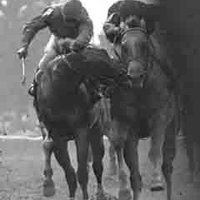 Coglianese Photos (@nyraphoto) 's Twitter Profile