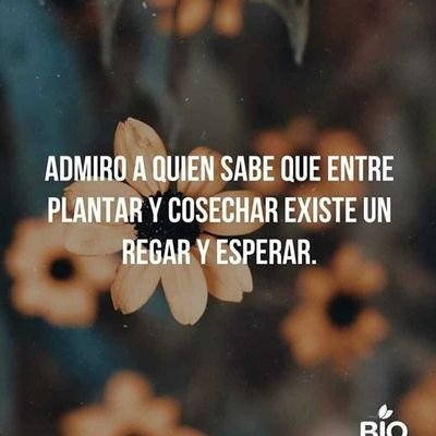 ElUltimoEnLista's profile picture. 