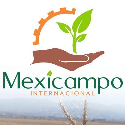 Sembrando nuestro pedacito. Noticias diarias sobre #AgroNegocios #DelCampoAlHogar #TecnologíaDelCampo #MedioAmbente #CampoInternacional, de #México