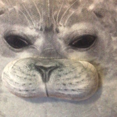 LRIB7hxSJgJ4yfB's profile picture. 