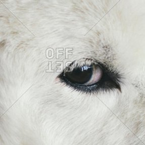 1alphatest's profile picture. ปป