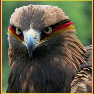 QuickproQ's profile picture. 