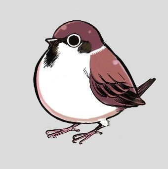 メグルさんのプロフィール画像