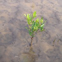 Déborah Claude (@deborahclaude) 's Twitter Profile