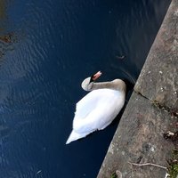 Mark Bearder (@beardermark) 's Twitter Profile