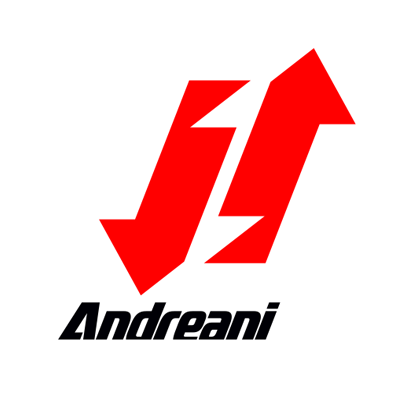 Andreani Group International Profile