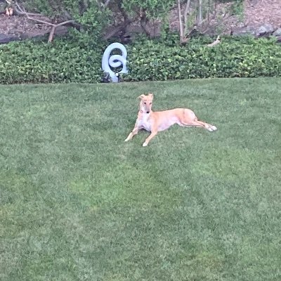 Ei17152770's profile picture. 