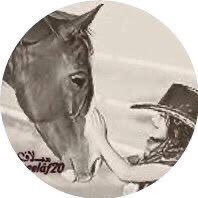 mellaaf20's profile picture. شاعره مع مرتبة الشرف الأولى .                 الممثل القانوني @LawyerNajla