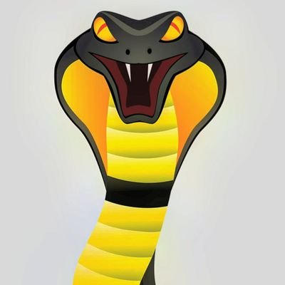 SnakezF1_ Profile Picture