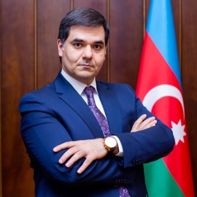 Azerbaijan Insurers Association Executive Director
