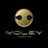 Moley Robotics