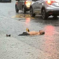 Turşu (@marstursusu) 's Twitter Profile