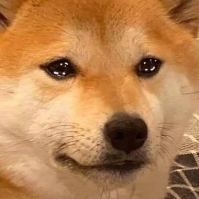 세살さんのプロフィール画像