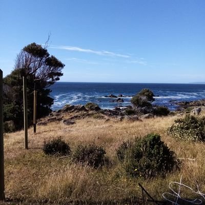 UlisesValdsC2's profile picture. Amo vivir lo mejor posible, creo en el esfuerzo propio con la ayuda de Jesucristo, detesto la injusticia.