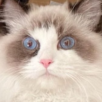 ZjJ44j9PcvbRGwc's profile picture. เเอคสำรวยย เอ้ย สำรองง