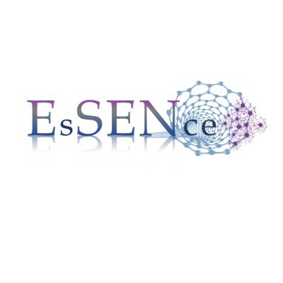 High performance Carbon-based composites with Smart properties for Advanced Sensing Applications