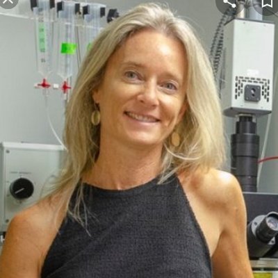 PDI Fisiología Humana UMH. Transduccion sensorial y nocicepcion . Instituto Neurociencias UMH-CSIC