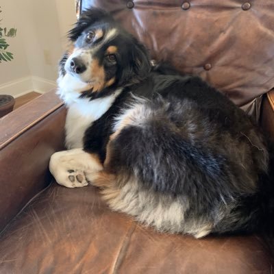 bcuzimdamomma's profile picture. Mom, conservative, Christian, Patriot-want America to find its way back to one nation under God - Yay I’m on #TruthSocial