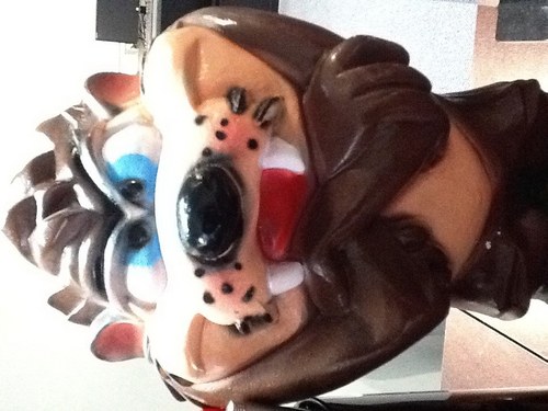 laura_taz's profile picture. 