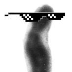 The birdGRC project - Marie Curie IF Profile