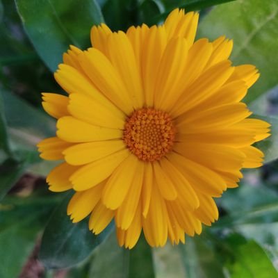 zaidzaid113's profile picture. 