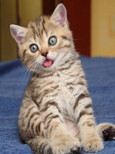 Quietkey99's profile picture. Thanks to His Mercy and Compassion I am who I am today.