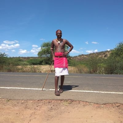 lesanguteshaba1's profile picture. Advocate