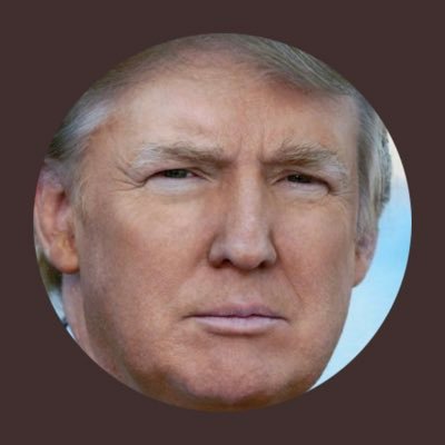#Musk #Trump #Maga #Lrem et #Lr allez en enfer #teampatriotes #teamjambonbeurre