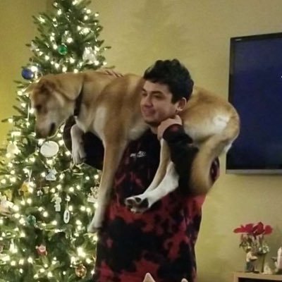 Guillermo0o's profile picture. Comin through with the crazy