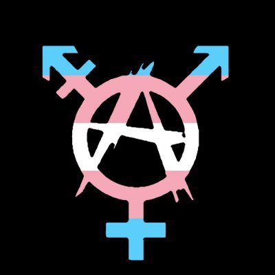 Trans Revolutionary Anarchist 🔥🏛🏴