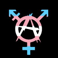 Trans Revolutionary Anarchist 🔥🏛🏴(@TRAExecutive) 's Twitter Profileg